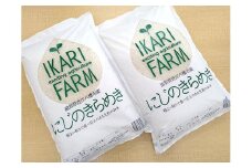 【新米】【7年産】にじのきらめき白米10kg（5kg×2袋）「大粒で食べ応えあり」【C060U2】