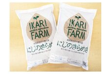 【新米】【7年産】にじのきらめき玄米10kg（5kg×2袋）大粒で食べ応えあり【C064U1】