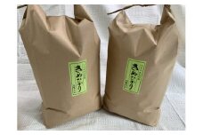 【新米】令和7年産　近江米　キヌヒカリ【10kg（5kg×2袋）】環境こだわり米【AB63U1】