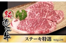 純近江牛特撰ステーキ肉160g×3枚