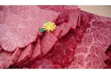 近江牛 焼き肉（赤身・カルビ部位）0.5kg