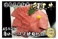 近江牛 A5ランク 焼肉セット 800g（ 肩ロース400g、モモ400g ）