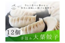 餃子 手包み大葉餃子 Sパック 12個入り 餃子屋はまだ