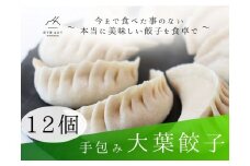 餃子 手包み大葉餃子 Sパック 12個入り 餃子屋はまだ