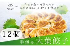 餃子 手包み大葉餃子 Sパック 12個入り 餃子屋はまだ