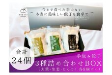 餃子 手包み餃子 3種詰め合わせBOX 合計24個 餃子屋はまだ