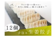餃子 手包み生姜餃子 Sパック 12個入り 餃子屋はまだ