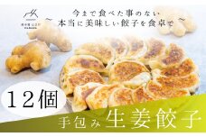 餃子 手包み生姜餃子 Sパック 12個入り 餃子屋はまだ