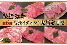 肉 近江牛 定期便【年6回】店長イチオシ！純近江牛究極定期便 (特選ロース／ロース／フィレステーキ／特選ステーキ／極上モモ／厳選ロース)
