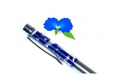 草津あおばなのハーバリウムボールペン(シルバー)