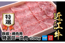 【冷蔵でお届け可】近江牛鉄板・焼肉用特選ロース肉　500g  日本三大 国産黒毛和牛 産地直送 ブランド牛 和牛
