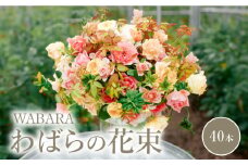 わばらの花束40本　 WABARA  摘みたて ブーケ 花束 Rose Universe