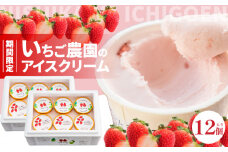 数量限定！いちご農園のアイスクリーム12個パック 　お土産 手土産 贈り物 ギフト プレゼント スイーツ