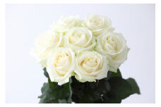 Flower Bouquet（バラのブーケ）25本　白系