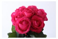 【定期便：12カ月】國枝バラ園から直送！Flower Bouquet（15本の花束）濃いピンク系