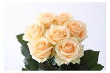 【定期便：12カ月】國枝バラ園から直送！Flower Bouquet（10本の花束）アプリコット系