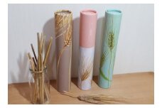 大麦ストロー「すとろーている」、ケース入り３色セット（茶・桃・空）