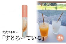 大麦ストロー「すとろーている」、ケース入り桃色