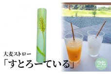 大麦ストロー「すとろーている」、ケース入り空色