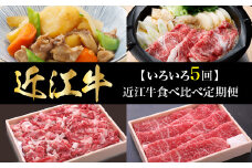 【いろいろ5回】近江牛食べ比べ定期便  牛肉 肉 産地直送 すき焼き しゃぶしゃぶ用 ロース 霜降り 切り落とし 鉄板 焼肉用 特選 モモ肉 ブロック 希少部位 サシ ステーキ ブランド牛 お取り寄せ 守山市