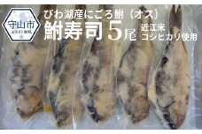びわ湖産にごろ鮒（オス）鮒寿司 ５尾