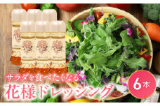 【サラダが食べたくなる】花様ドレッシング6本入り　出汁 カツオ風味 塩味 和風 ドレッシング EVERGREEN お取り寄せ 滋賀県 守山市