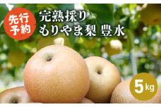 完熟採り　もりやま梨（豊水）５キロ【2025年9月中旬お届け】