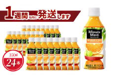 ミニッツメイドオレンジブレンド 350mlPET（24本入） バレンシアオレンジ 果汁100% 健康果実 コカ･コーラ 飲料 フルーツ 守山市