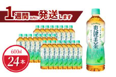 爽健美茶 PET 600ml（24本入） ノンカフェイン ペットボトル ドリンク お茶 ブレンド茶 コカ・コーラ 水分補給 リサイクル 人気 守山市