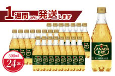 カナダドライジンジャーエール 500mlPET（24本入）飲料 ドリンク コカ・コーラ 買い置き PET 人気 おすすめ お取り寄せ