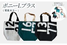 ポニーLプラス(栗東カラー)  JRA 日本中央競馬会 