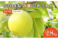 びわこもりやまフルーツランド　もりやま梨　八里詰め合わせ 【2025年8月お届け】完熟採り　生産農家直送