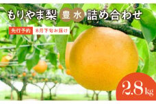 びわこもりやまフルーツランド　もりやま梨　豊水詰め合わせ 【2025年8月下旬～9月上旬お届け】完熟採り　生産農家直送 果汁たっぷり 箱詰め 