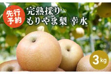 完熟採り　もりやま梨（幸水）3キロ 【2025年8月中旬お届け】生産農家直送 旬 果物  きたむら果樹園 守山市