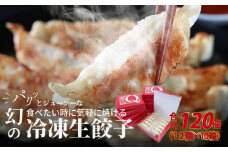 堀久餃子本舗冷凍生餃子10箱パック  冷凍 生餃子 焼くだけ 幻の餃子 藏尾ポーク バームクーヘン豚 餃子 堀久餃子本舗 守山市