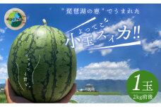 よってこ小玉すいか1玉 【5月下旬〜8月中旬お届け】ピノガール 夏の果物 糖度が高い 西瓜 小玉 よってこファーム フルーツ デザート 果物 お取り寄せ 滋賀県 守山市 