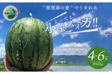 よってこ小玉すいか4〜6玉 【5月下旬〜8月中旬お届け】ピノガール 夏の果物 糖度が高い 西瓜 小玉 よってこファーム フルーツ デザート 果物 お取り寄せ 滋賀県 守山市 