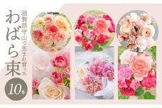 わばら束10本　 WABARA  摘みたて ブーケ 花束 Rose Universe Rose Farm KEIJI