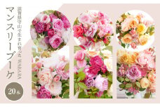 マンスリーブーケ20本とわばらの枝葉　WABARA  摘みたて ブーケ 花束 Rose Universe Rose Farm KEIJI
