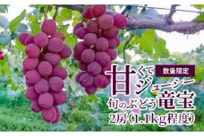 【数量限定】甘くてジューシー産直　旬のぶどう竜宝　2房 【7月末～8月中旬お届け】
