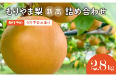びわこもりやまフルーツランド　もりやま梨　新高詰め合わせ 【2025年9月下旬お届け】完熟採り 生産農家直送