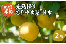 完熟採り　もりやま梨（幸水） ２キロ【2025年8月中旬お届け】生産農家直送 旬 果物 お取り寄せ 冷蔵 きたむら果樹園 守山市