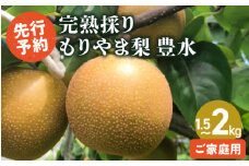完熟採り　もりやま梨（豊水）家庭用訳あり　1.5キロ〜2キロ【2025年9月中旬お届け】ジューシー 完熟梨 箱詰め フルーツランド きたむら果樹園 