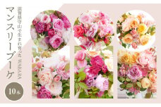 マンスリーブーケ10本とわばらの枝葉　 WABARA  摘みたて ブーケ 花束 Rose Universe Rose Farm KEIJI