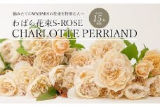 わばら花束S-ROSE CHARLOTTE PERRIAND  WABARA  摘みたて ブーケ 花束 Rose Universe