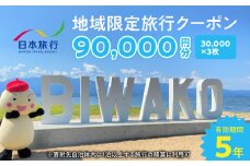 滋賀県守山市 地域限定旅行クーポン90,000円分 日本旅行 トラベルクーポン 納税チケット 旅行 宿泊券 ホテル 観光 旅行 旅行券 交通費 体験 宿泊 夏休み 冬休み 家族旅行 ひとり旅  守山市旅行