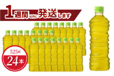 綾鷹 525ml PET ラベルレス（24本入）