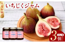 【9月お届け】いちじくジャム３個