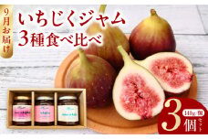 【9月お届け】いちじくジャム3種食べ比べ