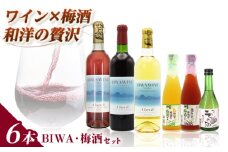 BIWA・梅酒セット / お酒 飲み比べセット 白ワイン 人気 おしゃれ プレゼント / 栗東市 / 太田酒造株式会社[BIAC012]